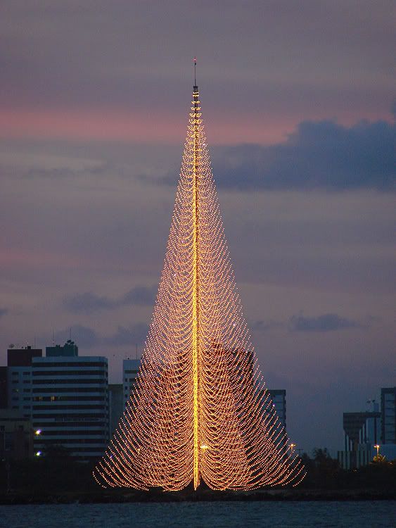 Inauguração da maior Árvore de Natal do mundo. | Page 5 | SkyscraperCity  Forum