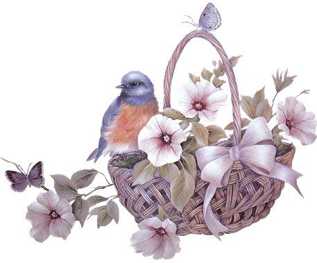 Bloemen Pictures, Images and Photos
