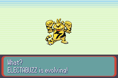 ElectabuzzEvolving-1.png
