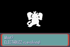 ElectabuzzEvolving-2.png