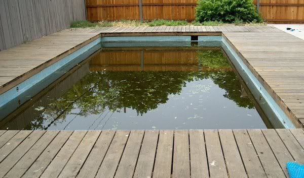 Pool03.jpg