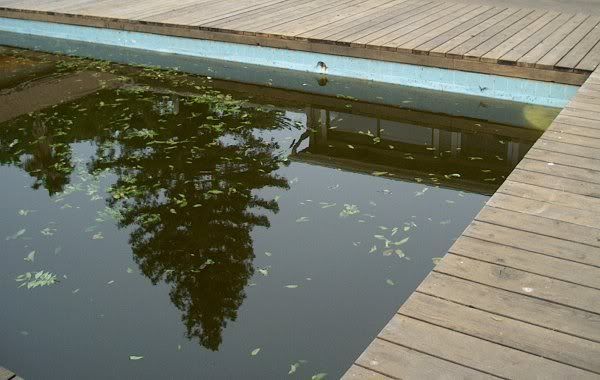 Pool04.jpg