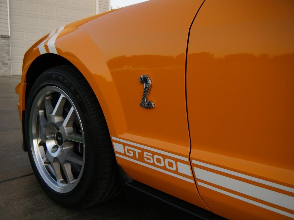 GT500andChally026.jpg