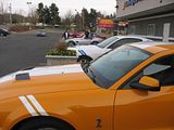 th_GT5002009Pics031.jpg