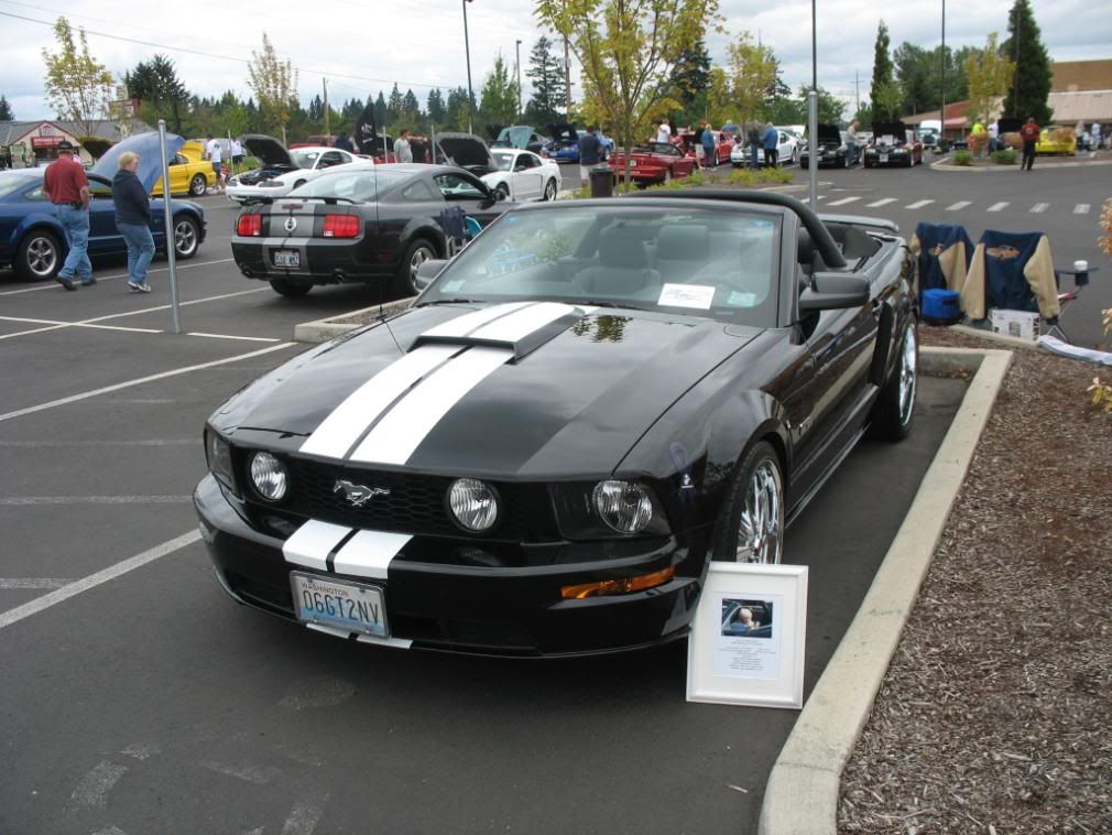 MustangShow8-2-08068.jpg