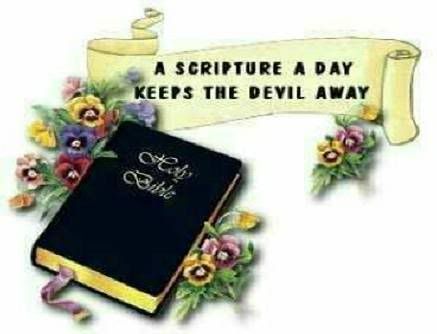 Holy Bible Image