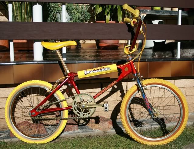 1994 mongoose expert pro