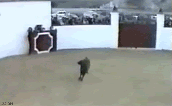 Forum Image: http://i186.photobucket.com/albums/x59/LouBriccant/Part%202/Part%203/bull-fight-gone-bad.gif