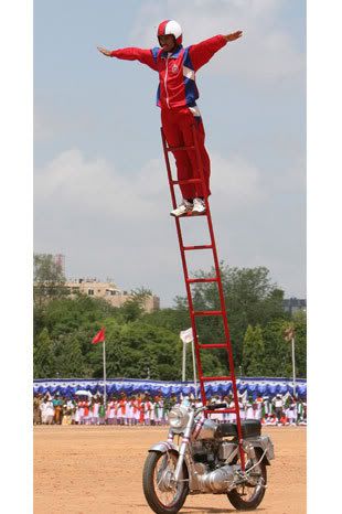 8810_0.jpg
