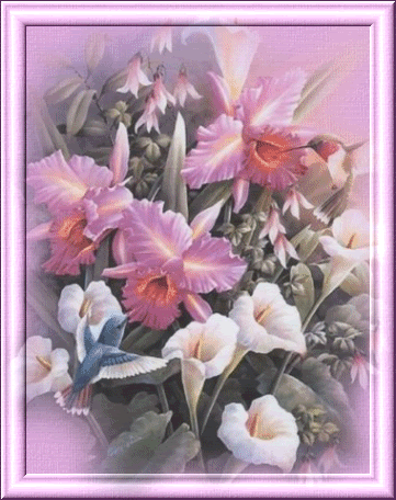 orquideas.gif picture by NanitaCol