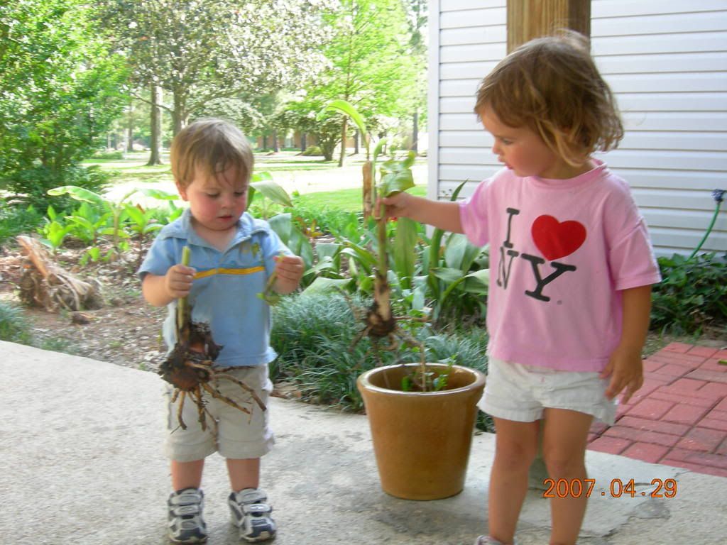 Photo Sharing and Video Hosting at Photobucket