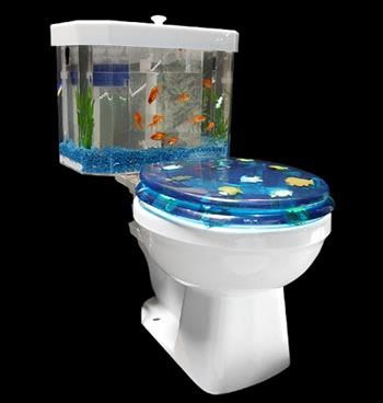 toilet aquarium