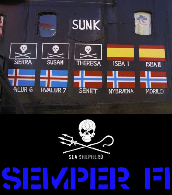 Support the Sea Shepherds Pictures, Images and Photos
