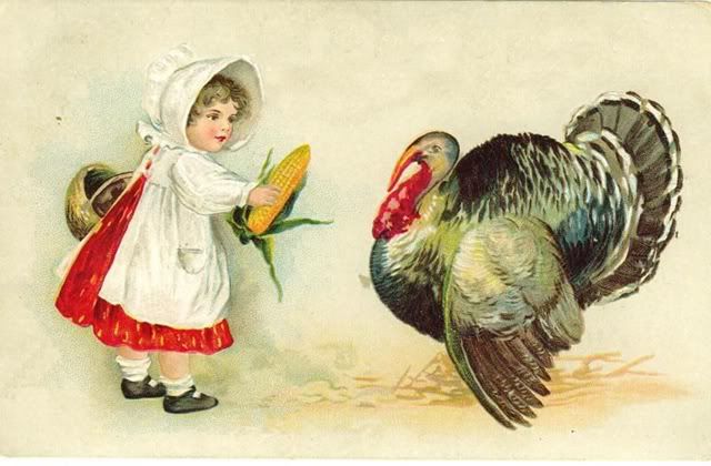 thanksgiving or turkey Pictures, Images and Photos