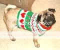 Dog Holiday Sweater