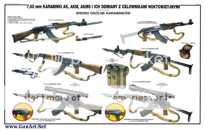 Poland Polish AKM AKML Rifle Night Vision COLOR POSTER  