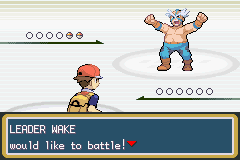 [PokeCommunity.com] Pokémon Twilight Illusion (BETA 1 RELEASED)