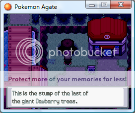 Pokémon Agate Version